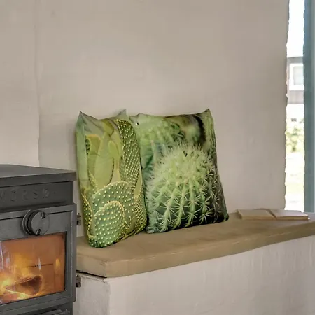 度假居 Undine - 300m From The Sea By Interhome 米泽尔法特